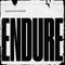 Endure | Black LP
